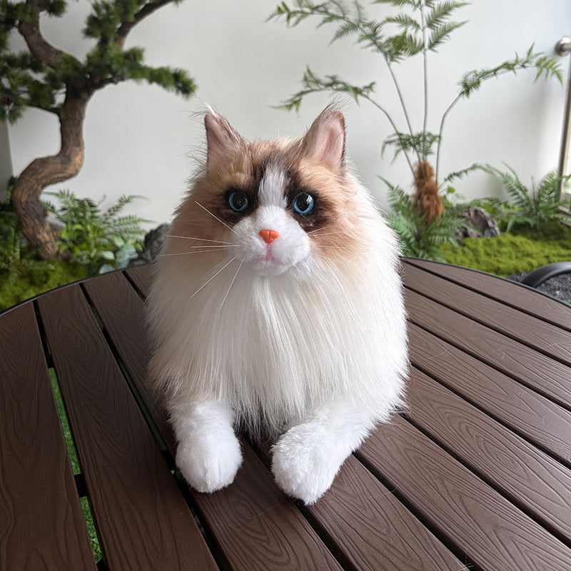 Custom Cat Plush Replica – Personalized Realistic Cat Keepsake Made From Photo