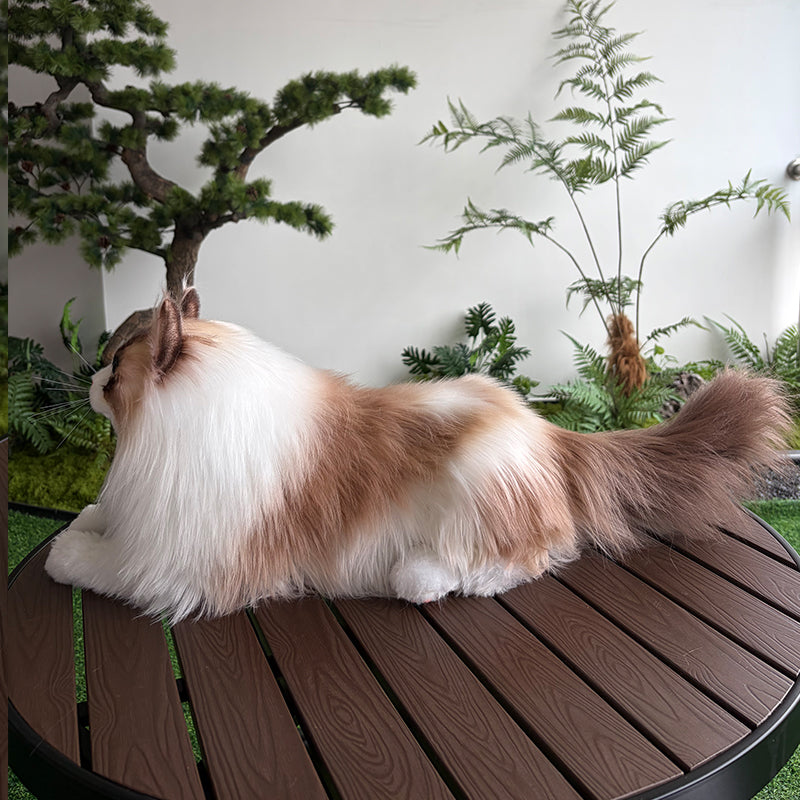 Custom Cat Plush Replica – Personalized Realistic Cat Keepsake Made From Photo