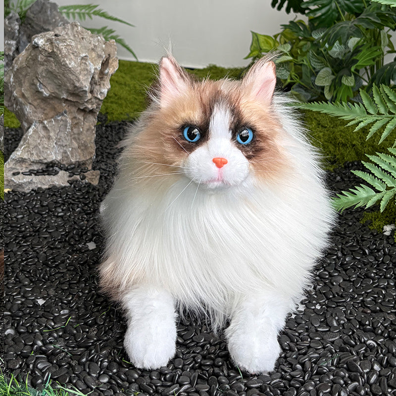 Custom Cat Plush Replica – Personalized Realistic Cat Keepsake Made From Photo